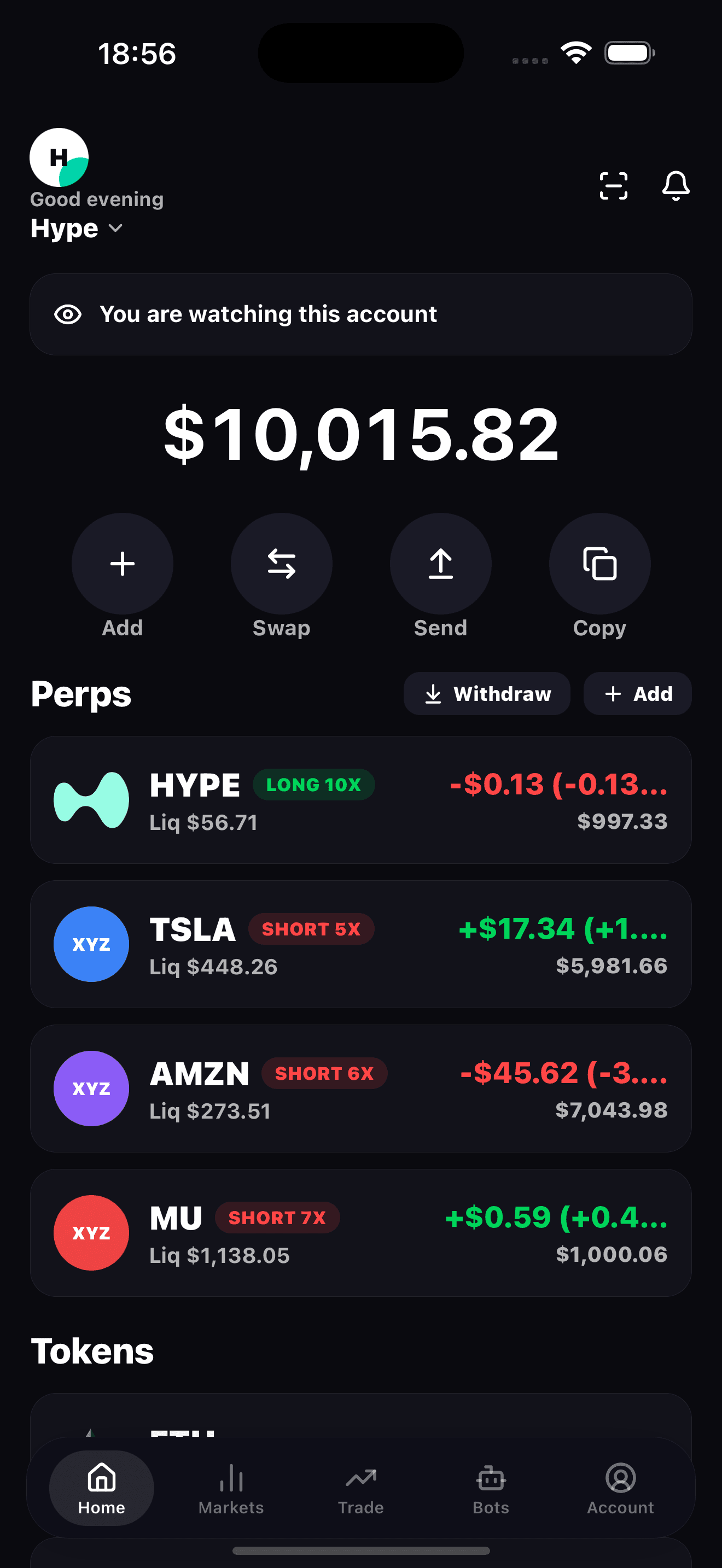 Portfolio screen with multi-chain balances and open perps positions
